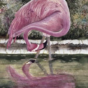 Narcisistic Flamingo