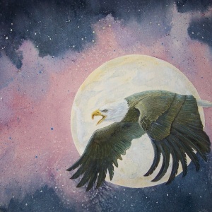 Night Eagle