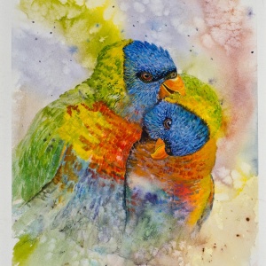 Lorikeets