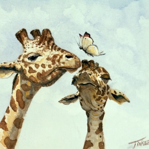 Giraffes